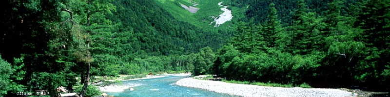 �t���h���b�N�p�b�J�[�Y���T�C�g